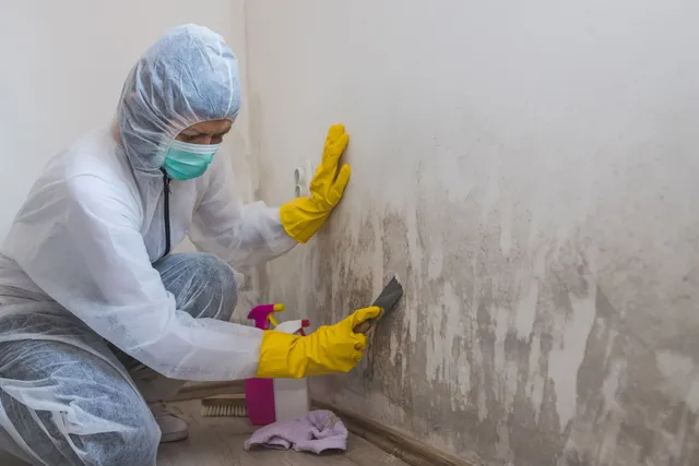 Mold remediation worker cleaning affected area with protective equipment